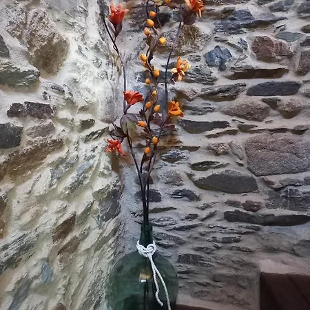 Dom wakacyjny La Moraquintana *