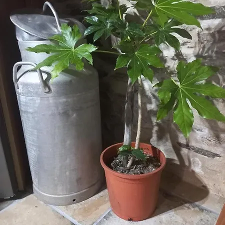 La Moraquintana Santibanez el Bajo