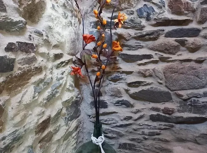 Casa vacanze La Moraquintana *